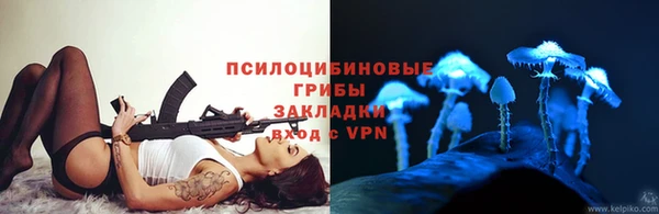 не бодяженный Арсеньев