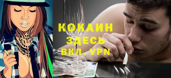 не бодяженный Арсеньев