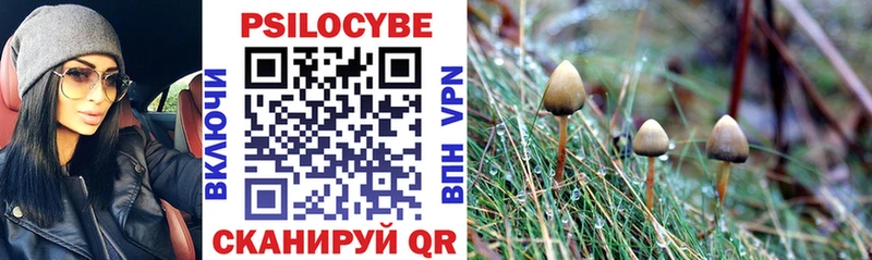 ОМГ ОМГ маркетплейс  Артёмовский  Псилоцибиновые грибы мухоморы 